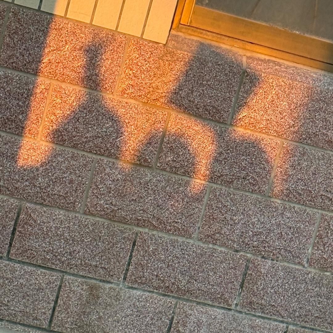 香远益清