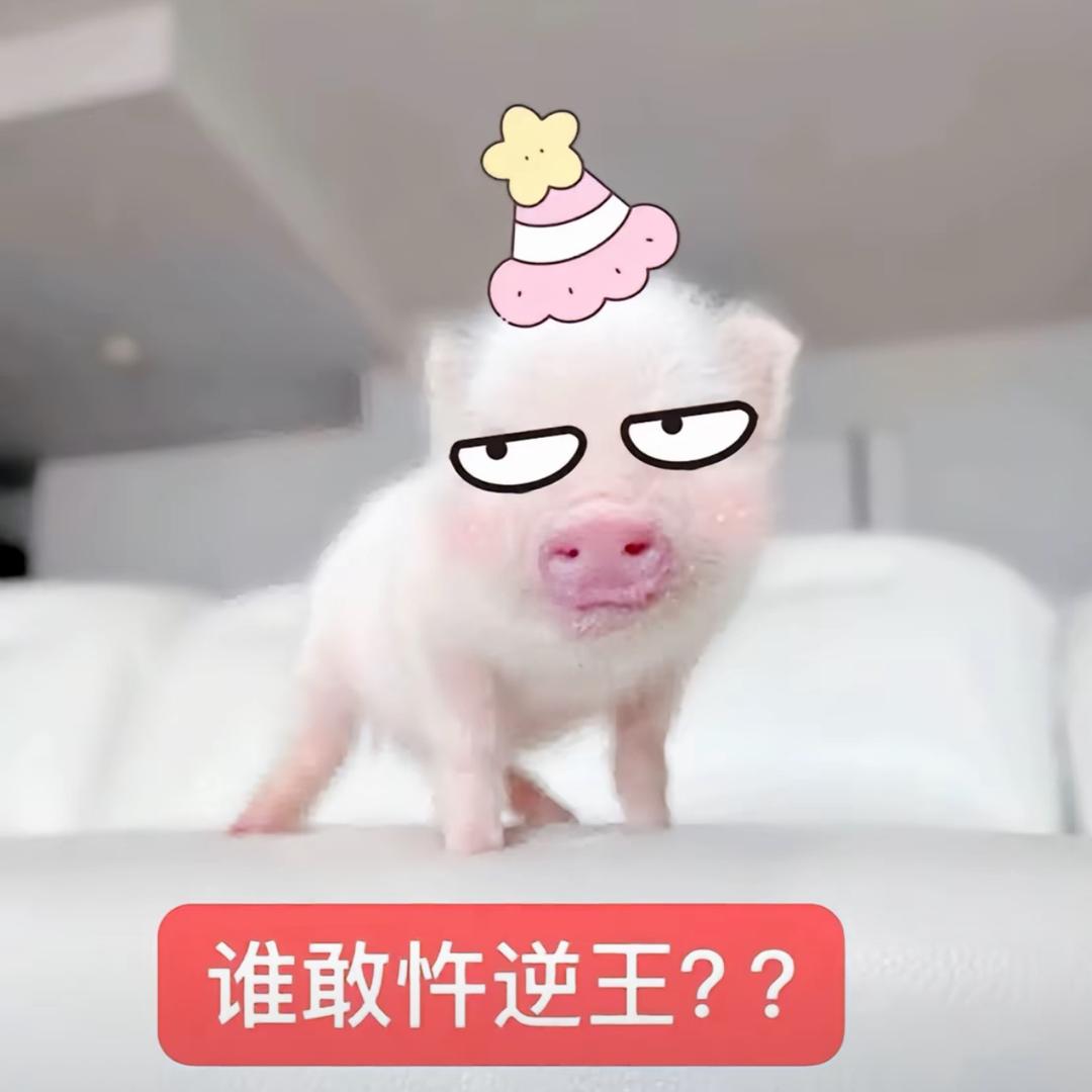 打扮成忧郁萌妹子被骂装货
