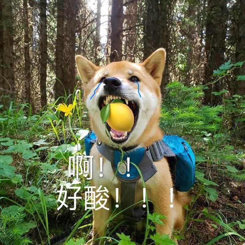 欧克