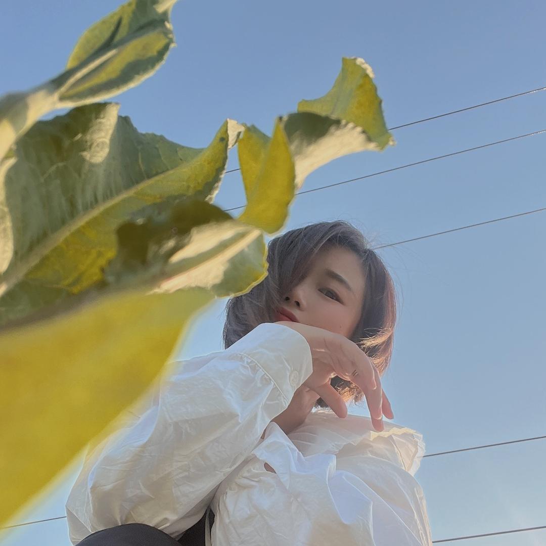 Dollar 🤞🏻玲珑晓苑名烟名酒