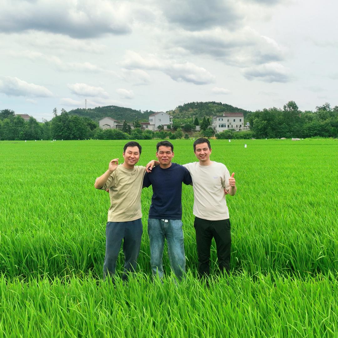 志明皖南农家香米