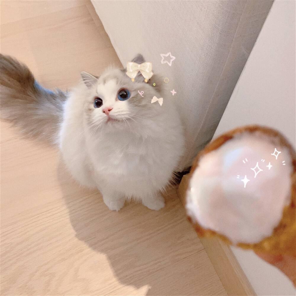 初心