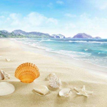 骑着单车想摩托