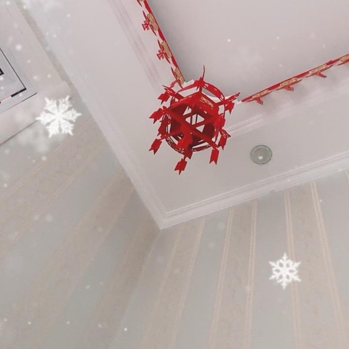 🐰🐰嘘嘘🐰🐰