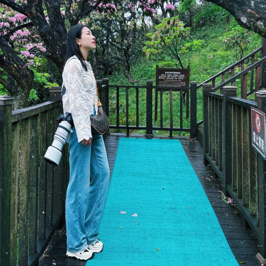 程小编头像