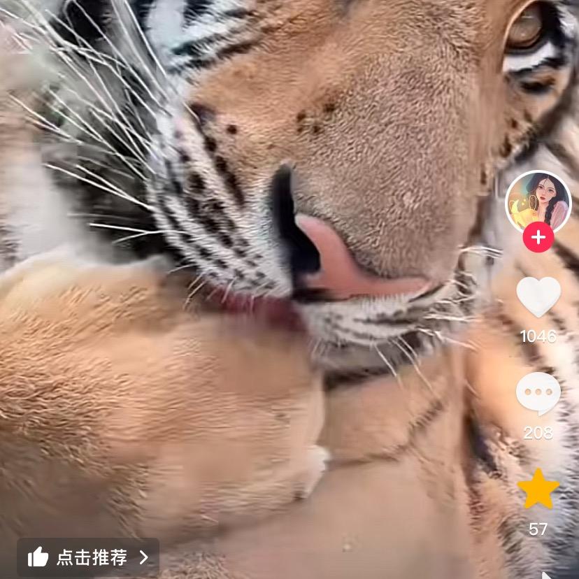 熊猫殿下❤️💖❤️‍🔥