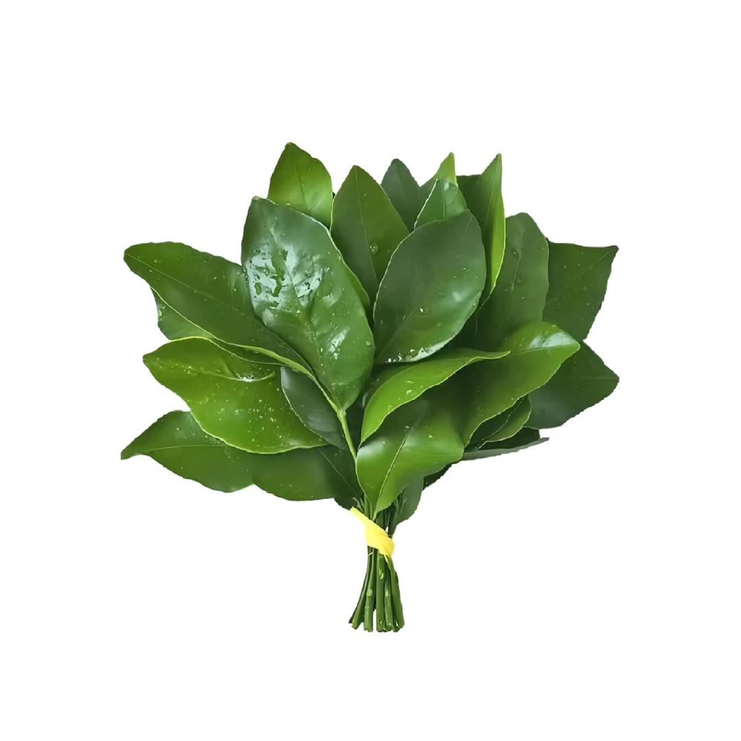Y                .