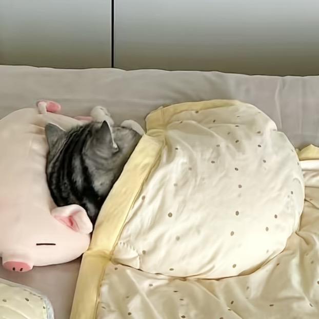 芬芬吐泡泡