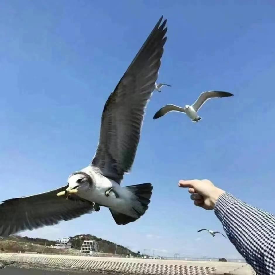 来往
