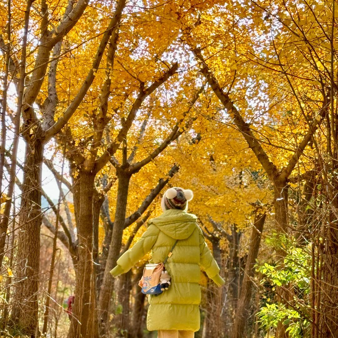 ✿゛莯莯🧸ྀི （禁止焦虑）