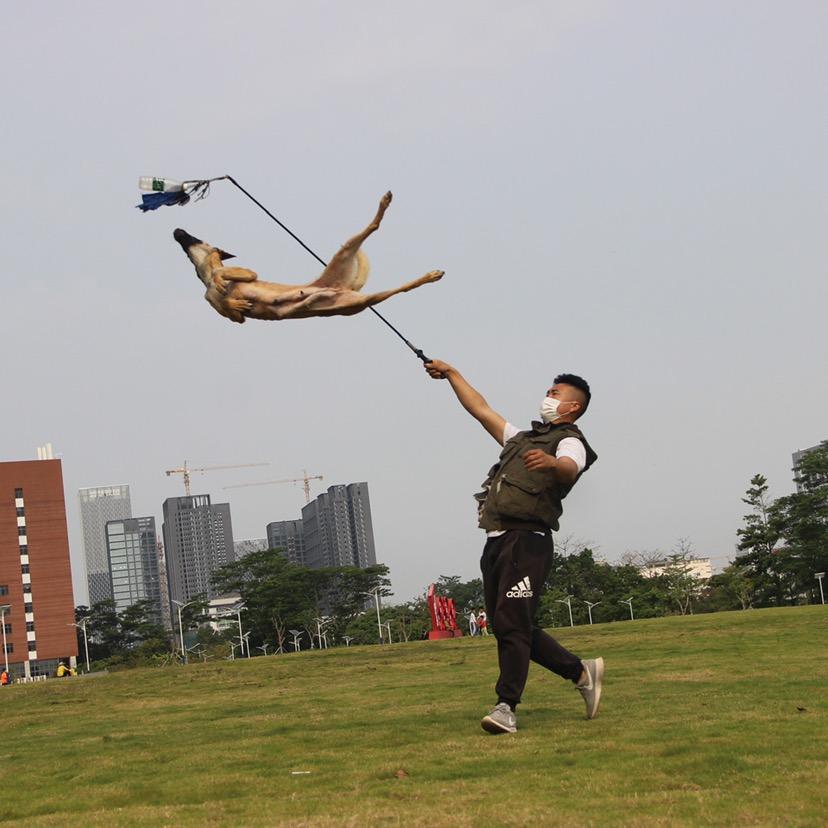 猎犬：户外