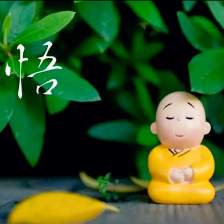 乐舍