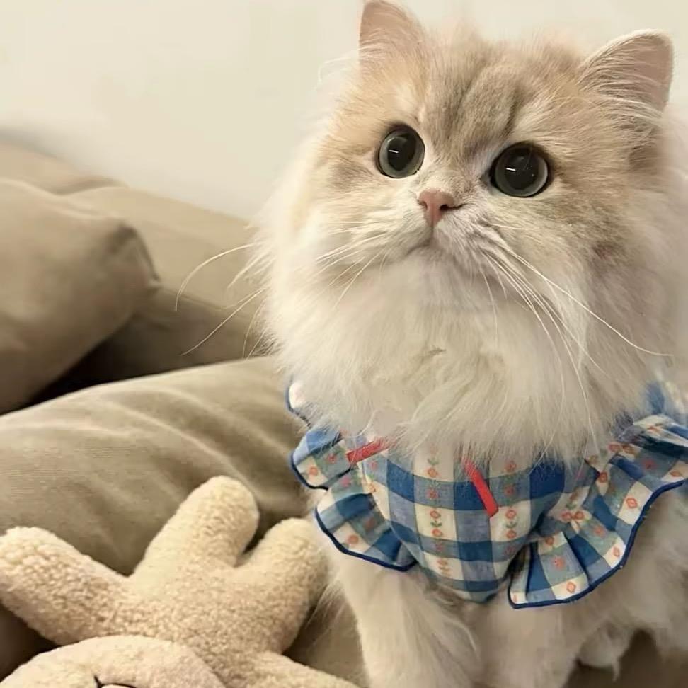 婷婷木子李🍼