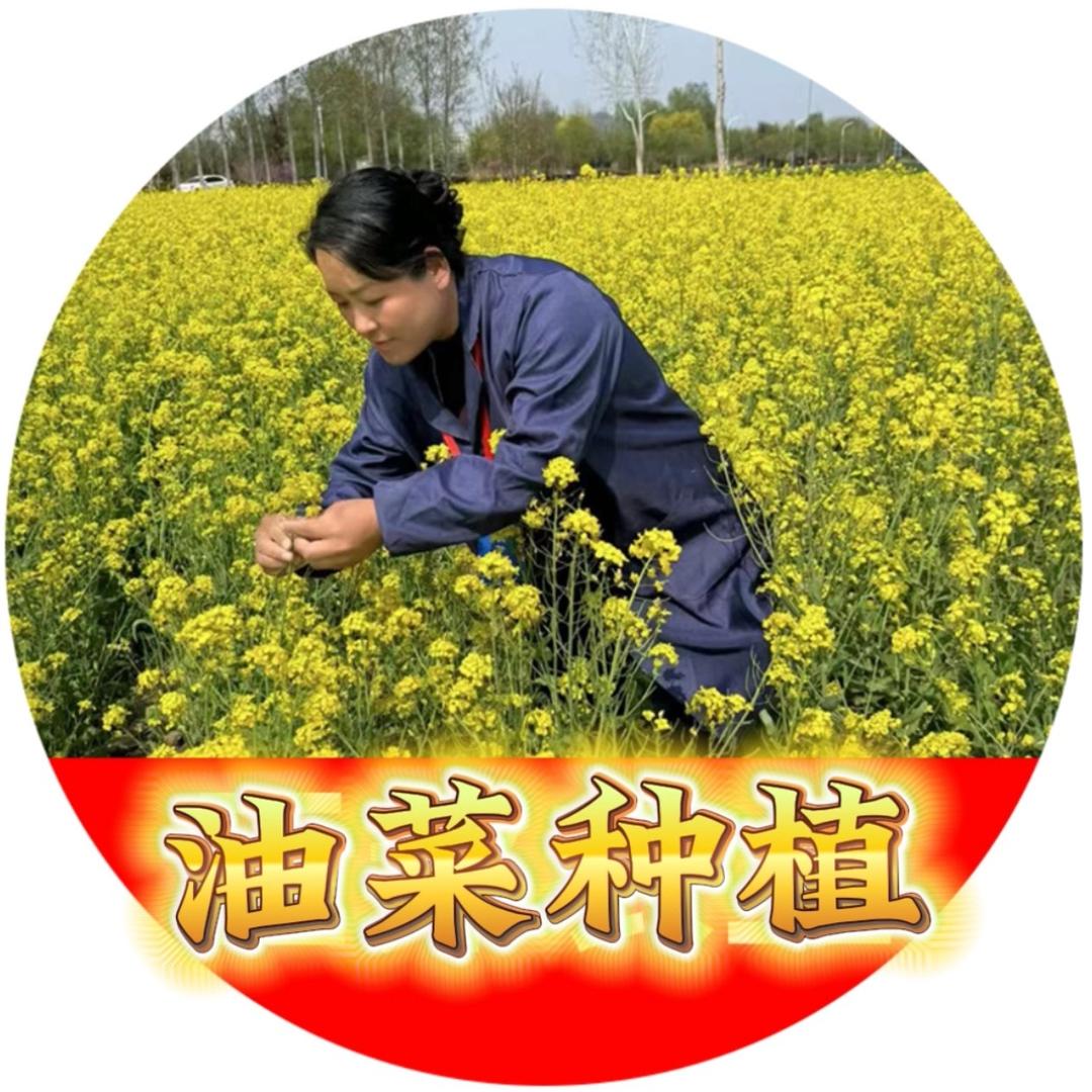 五谷丰登（小农人）