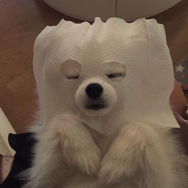 Fiona_lwj