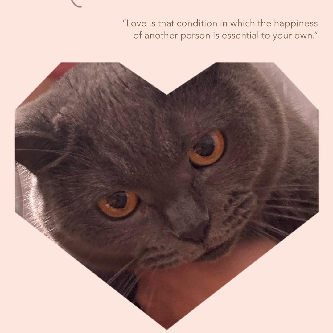 青岛汇君豪宅王玉芳