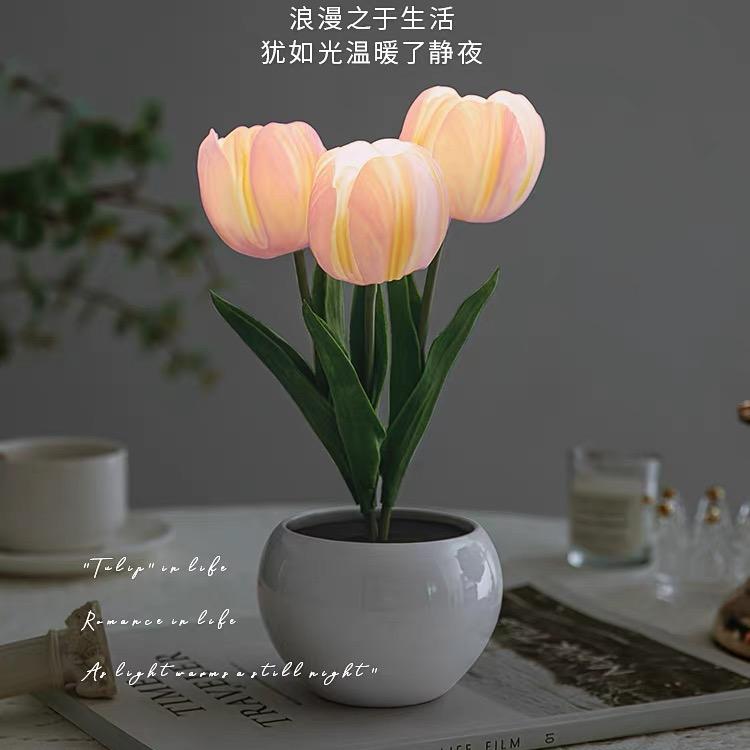 精致日常生活精选