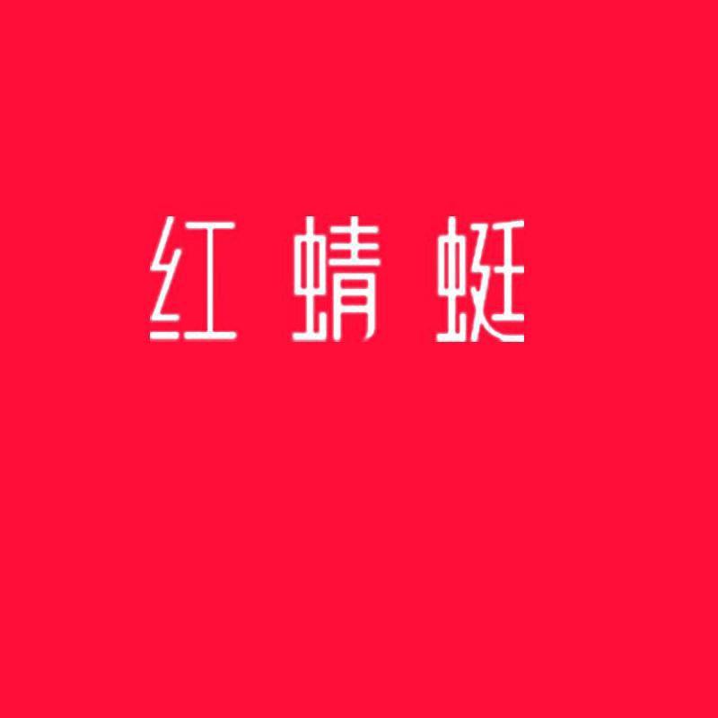 红蜻蜓唐唐男鞋专卖店
