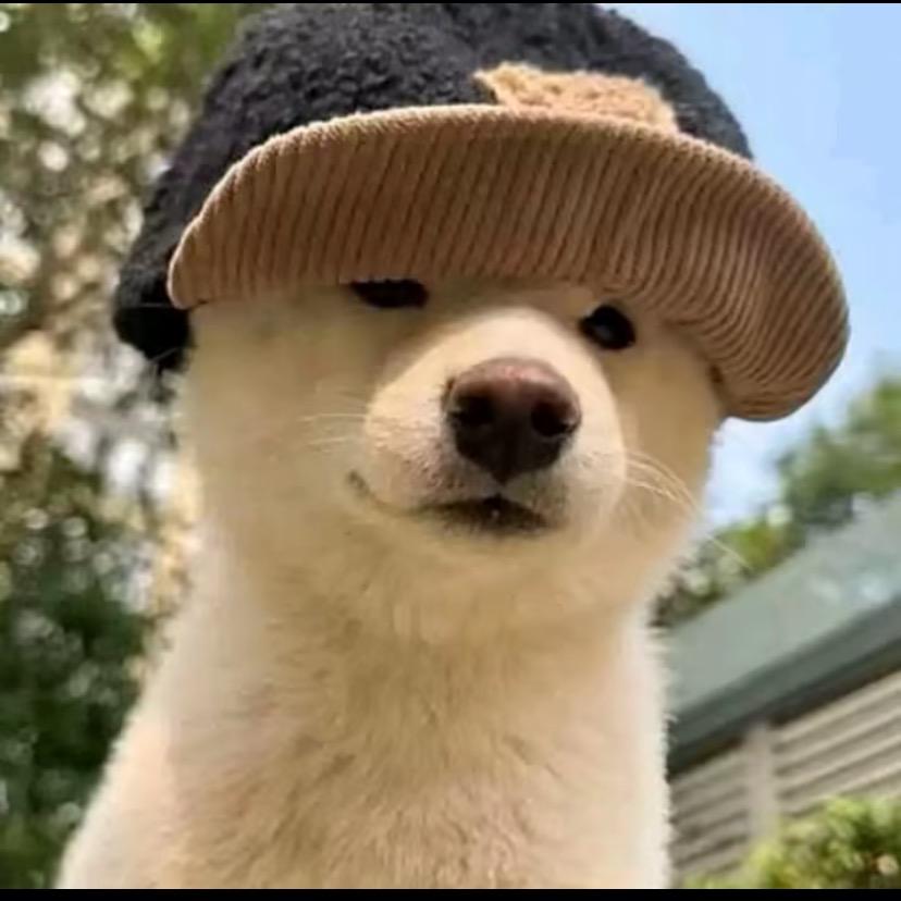 凯哥-🕵️朋友圈