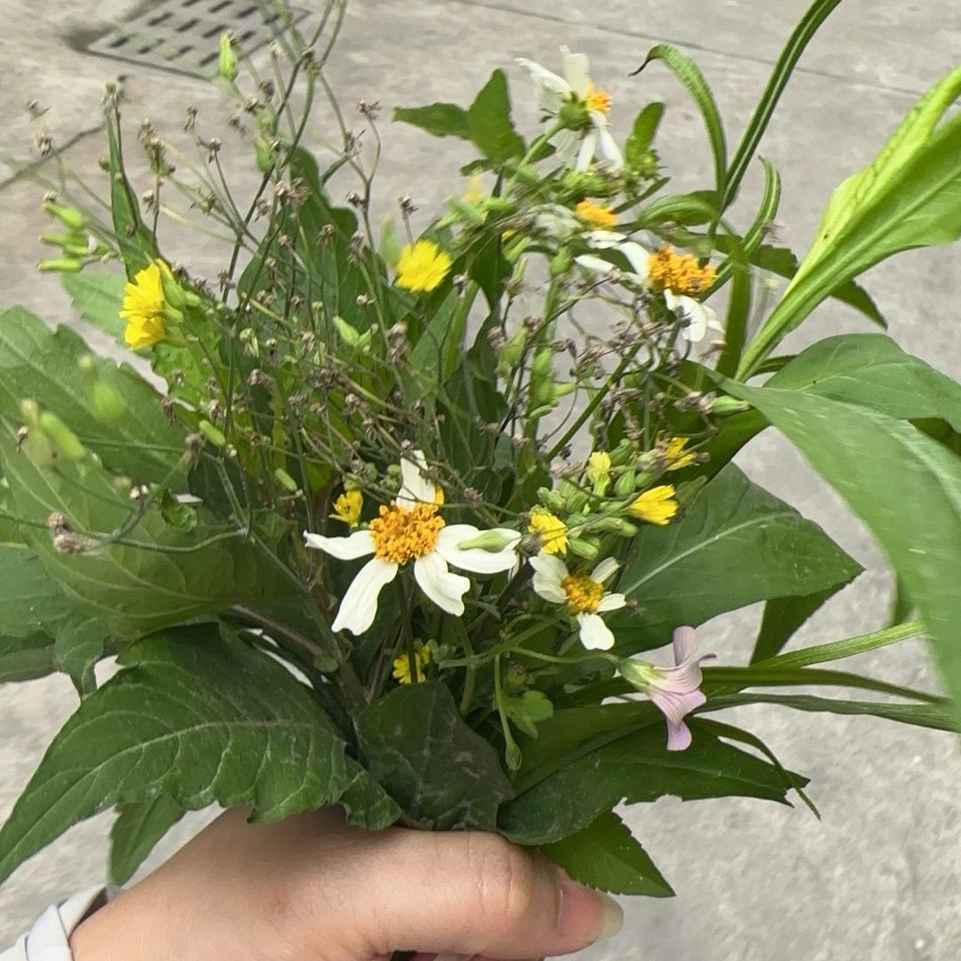 林儿响叮当<<拒连赞>>