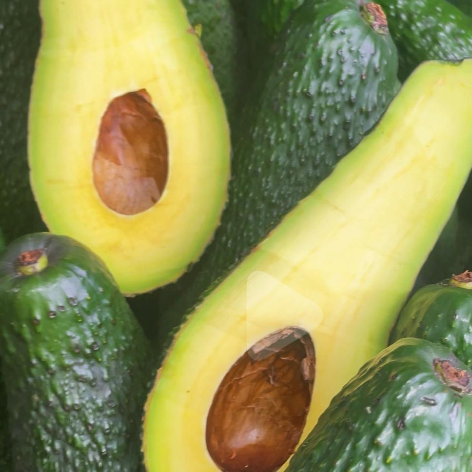 龙淼淼的低卡好物