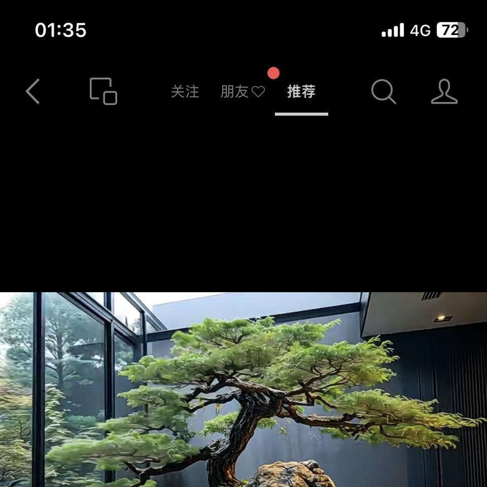 盛丰盆景