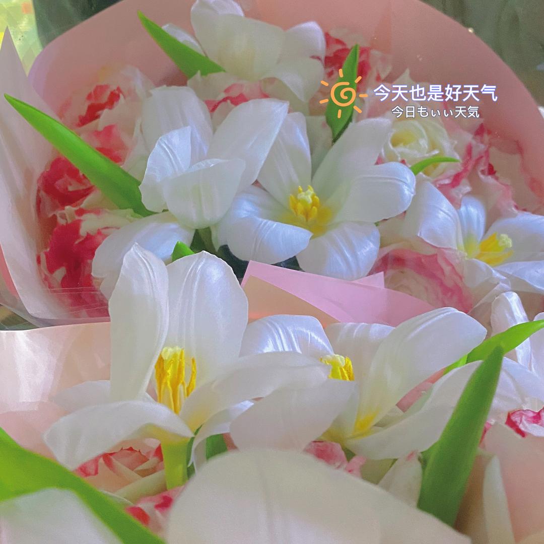 ✨欧气满满的牛马🐴