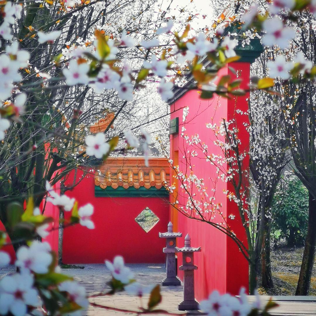 万花拾景园官方号