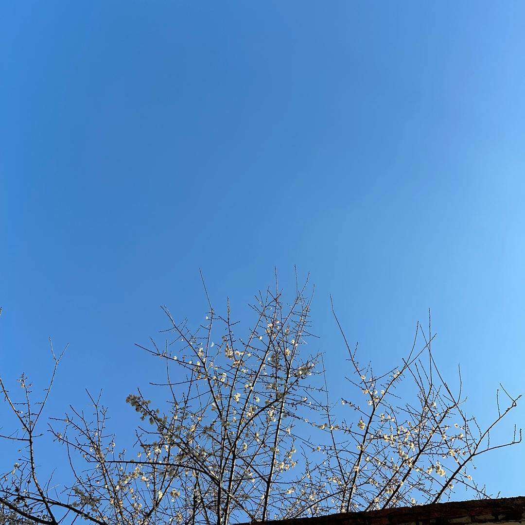 小韩han啊~