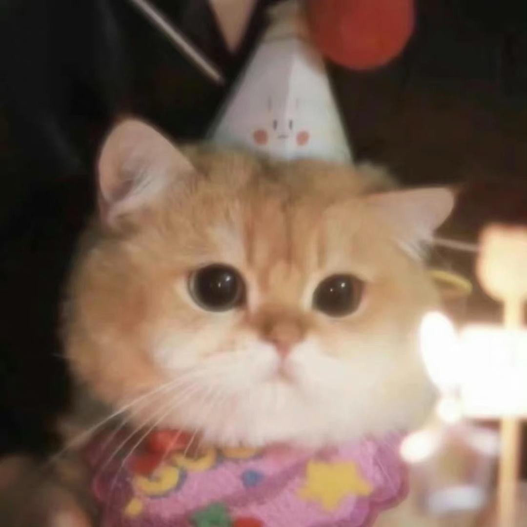 ✨發財小陳陳.✨