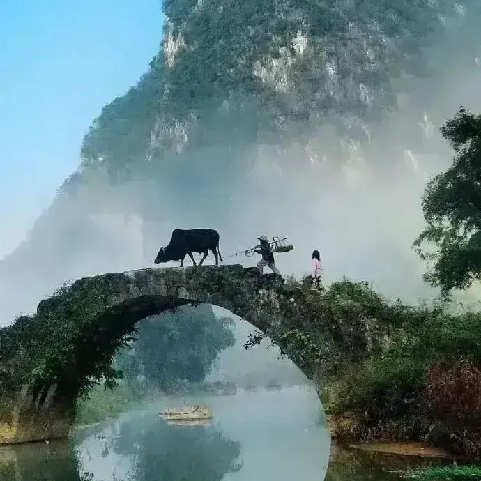 若素