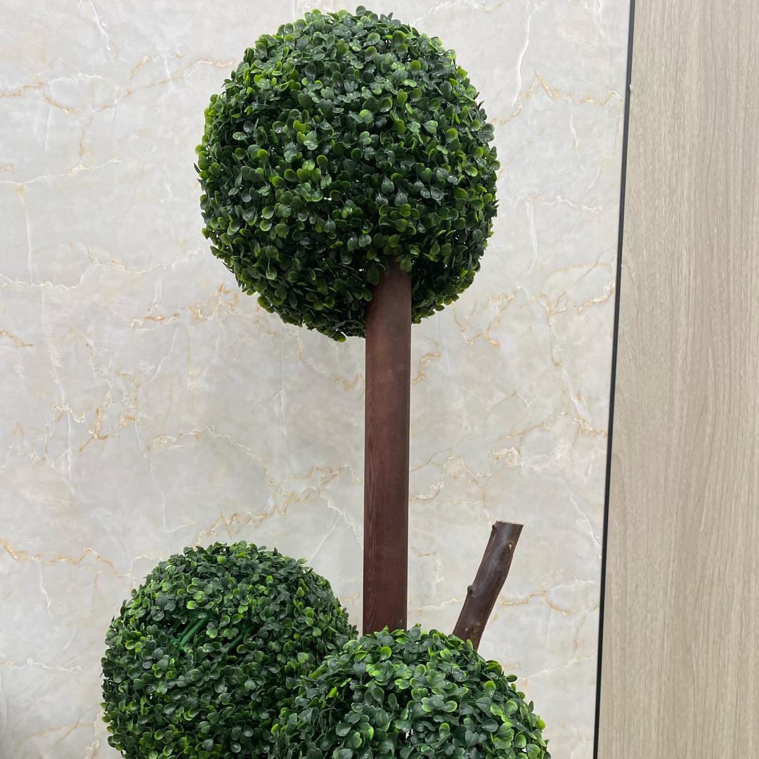 黑哥