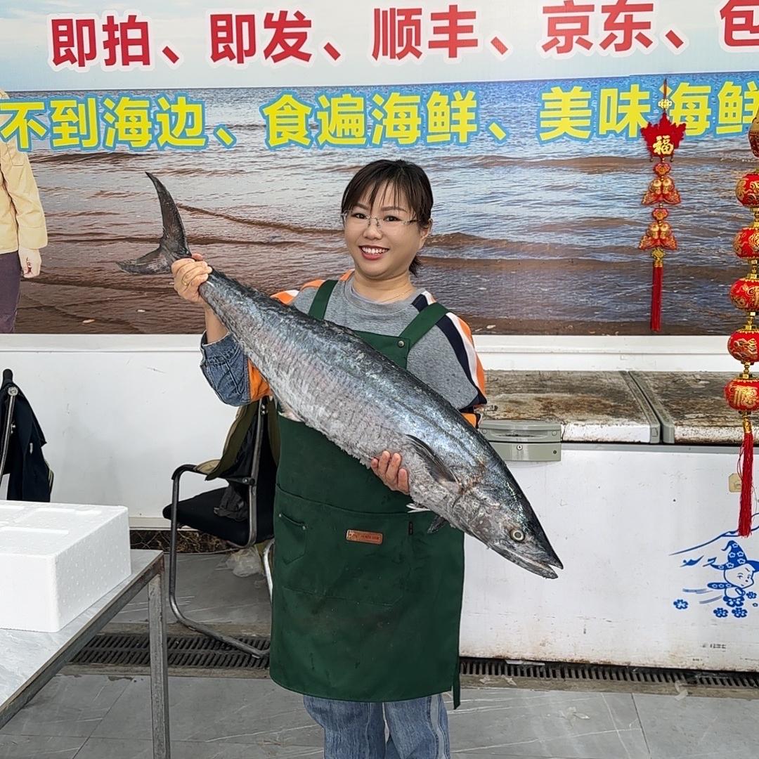 博贺渔港马鲛仔小美水产