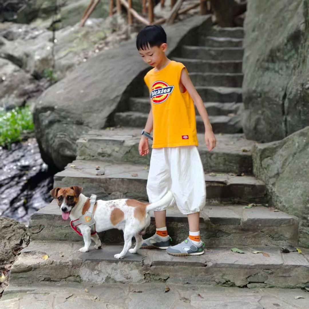 幸运的布丁吖