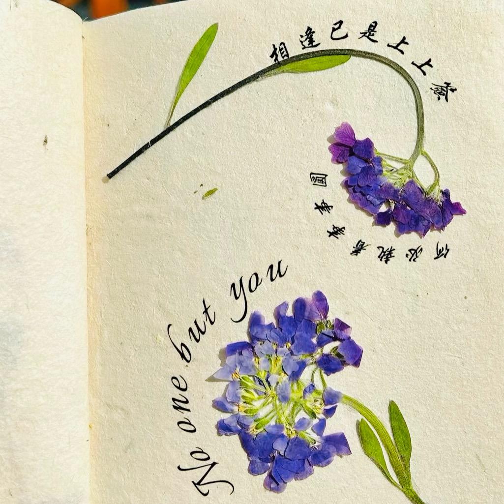 ࿐DZN ZENG🐾