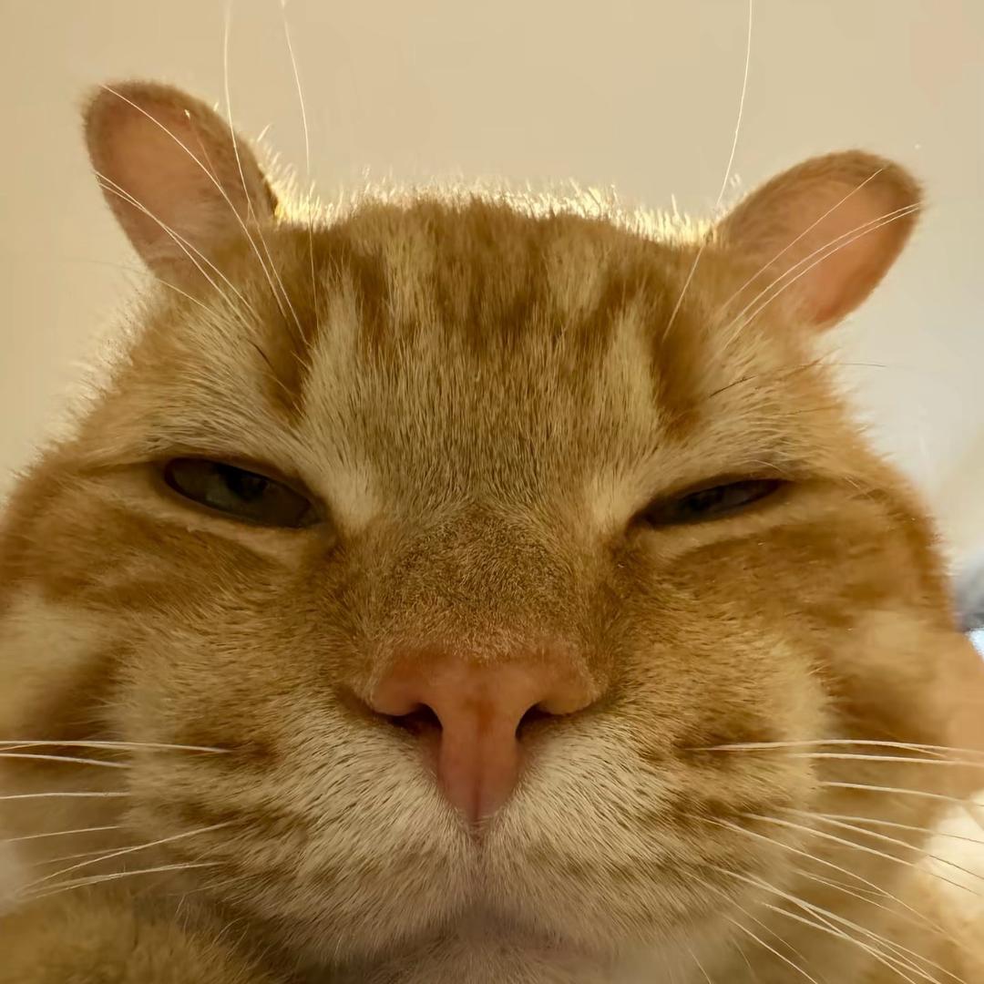 人间.