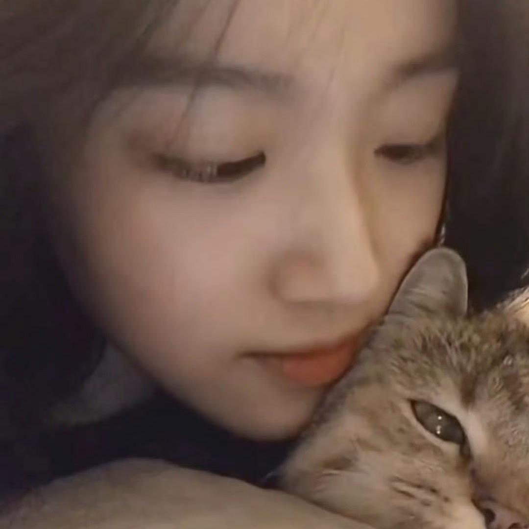 山东青岛福小费