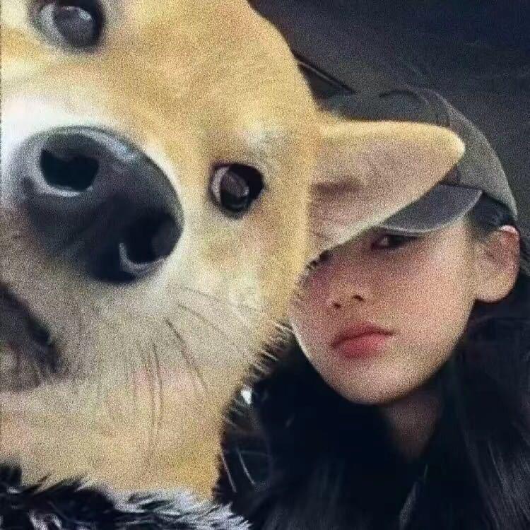 晚 个安.