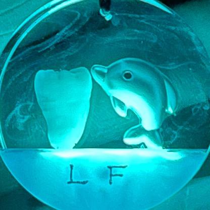 虫虫工作室