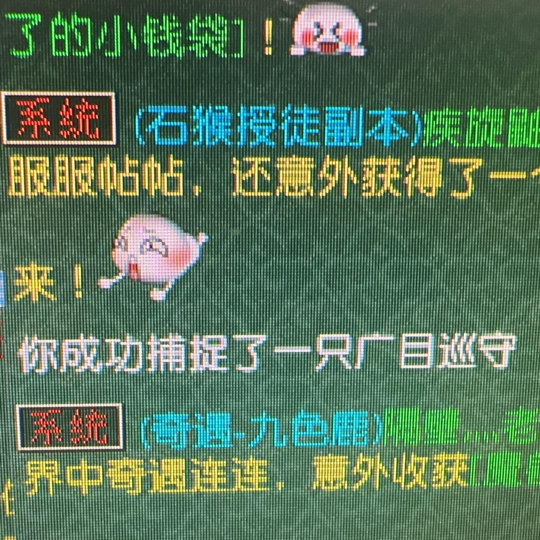 梦幻端游阿皮