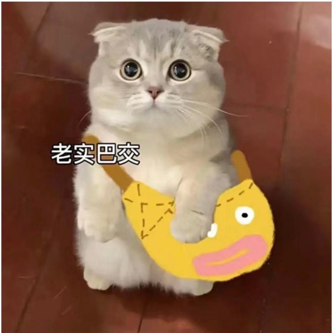 上海驾校华师大店