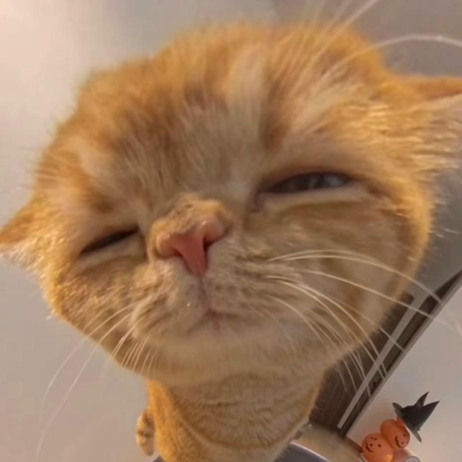 今晚爬你家窗户