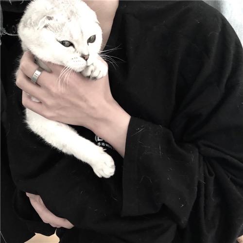 一只笨笨.