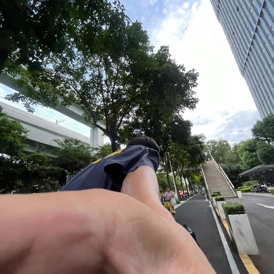 翘嘴.