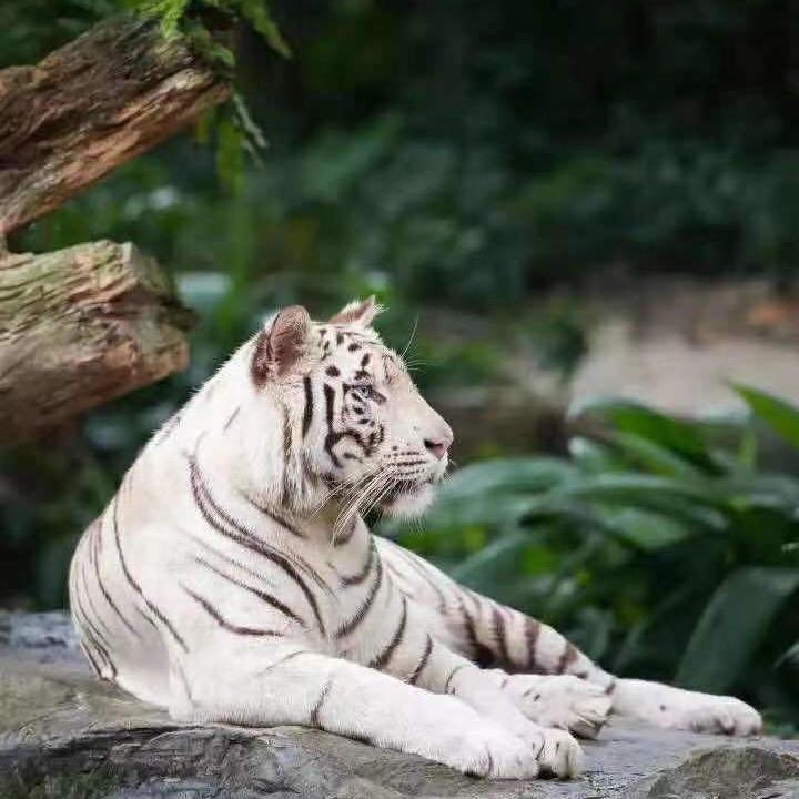 家有儿女好物分享