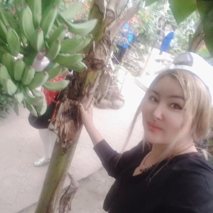 古丽