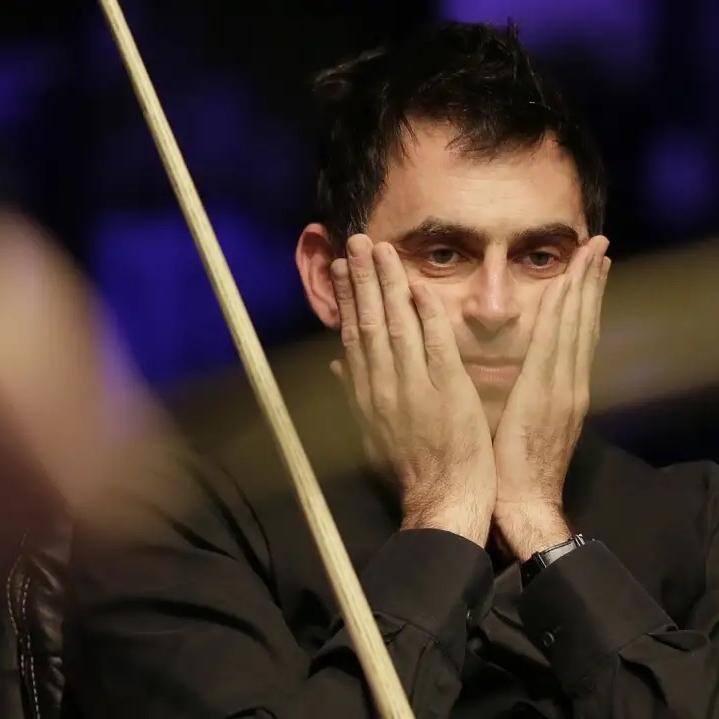 用户31645546664弘毅