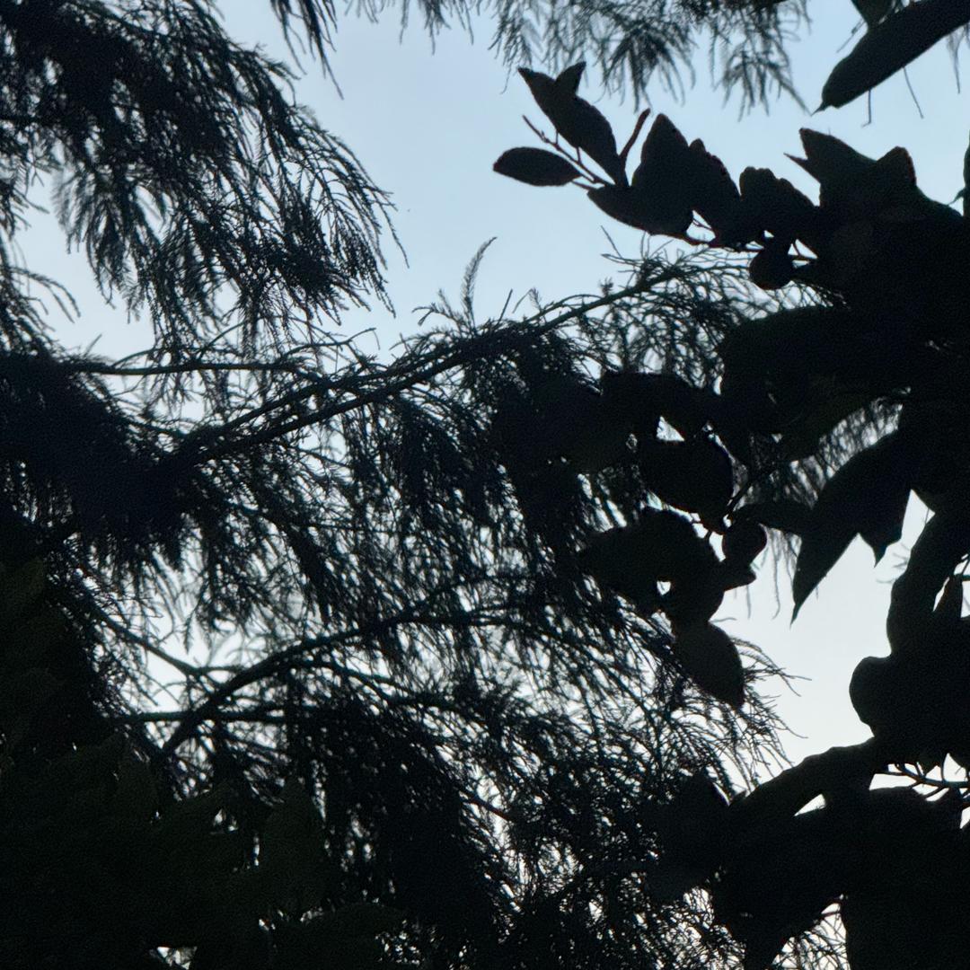 Money 的甜甜圈🍩