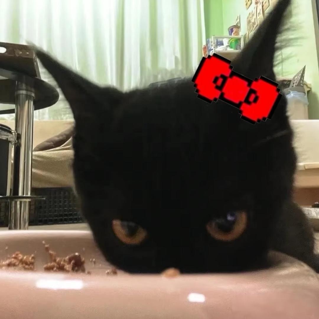 懒猪plus