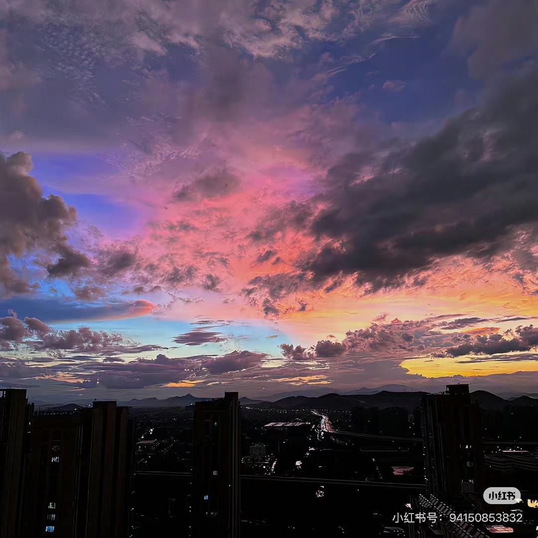 张小